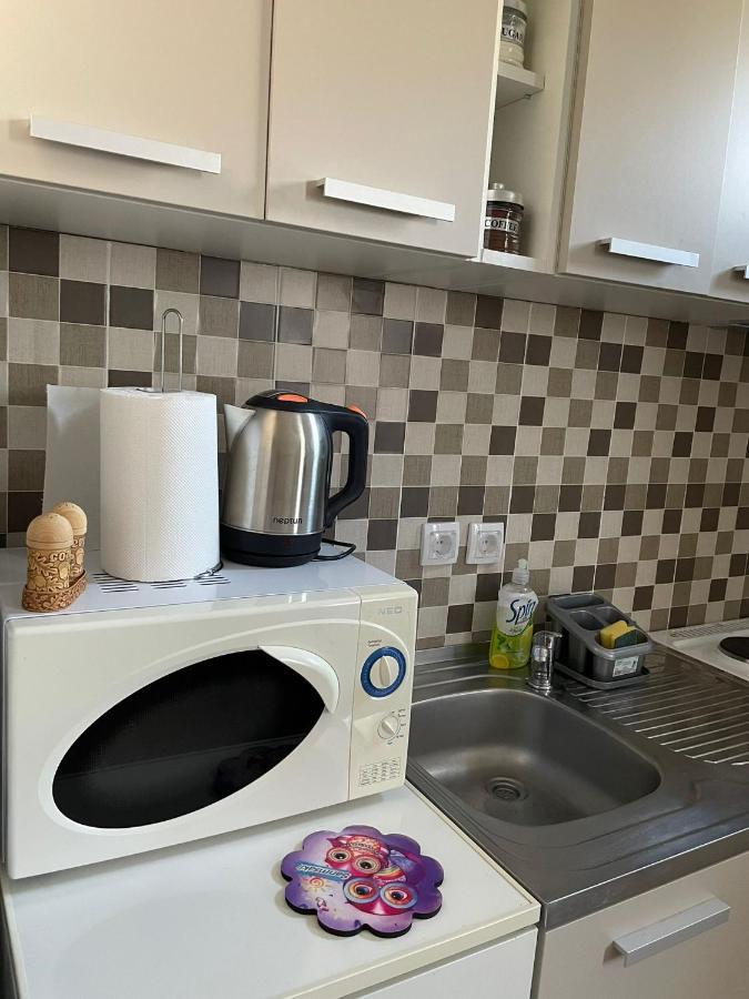 Apartmani Marija Zemun Zemun Polje ภายนอก รูปภาพ