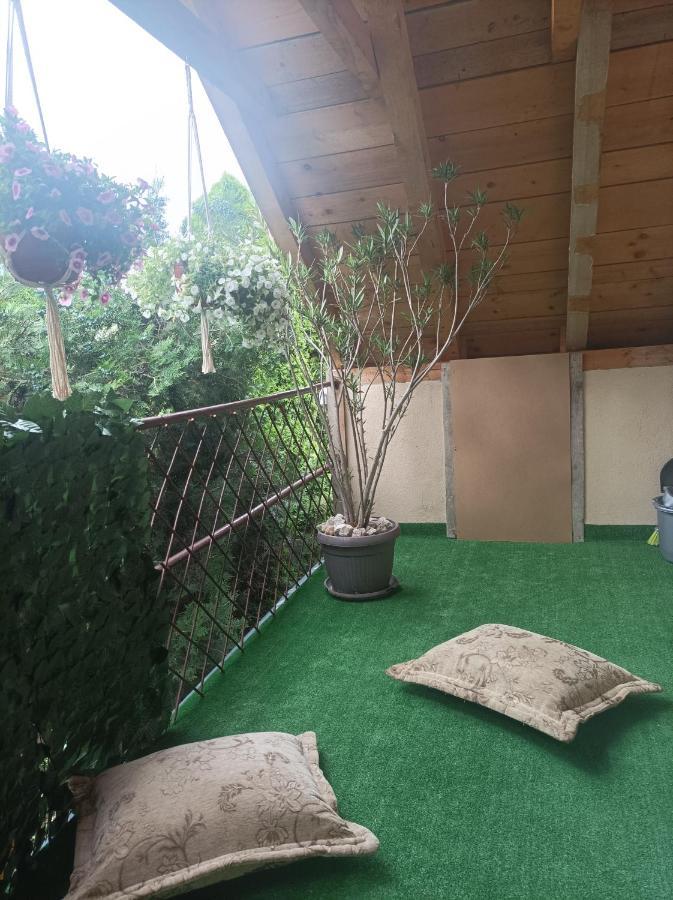 Apartmani Marija Zemun Zemun Polje ภายนอก รูปภาพ