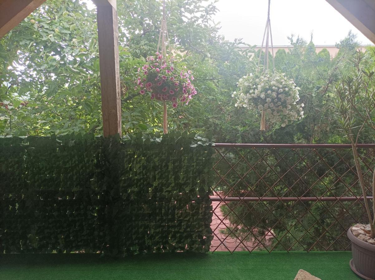 Apartmani Marija Zemun Zemun Polje ภายนอก รูปภาพ